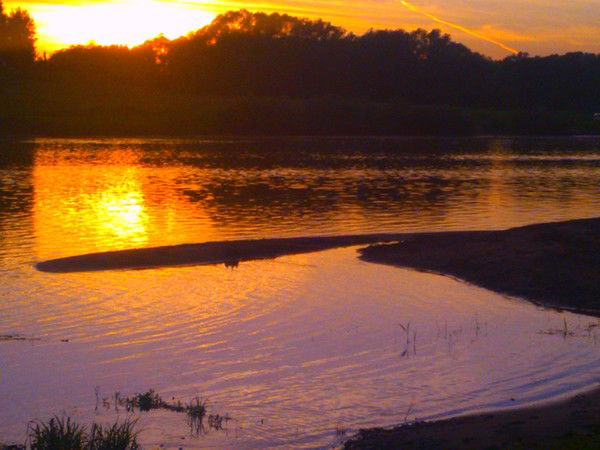 Ольга Фролова