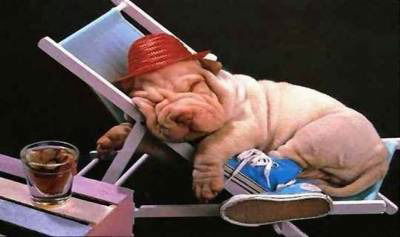 Наталья Ляхова