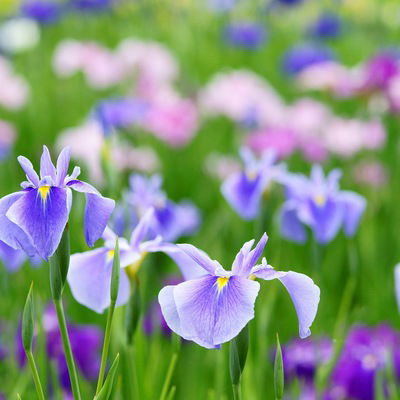 Евгения Утегенова