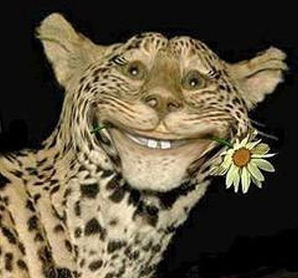 Серега Николин