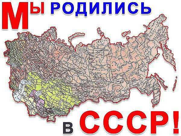 Александр Швец