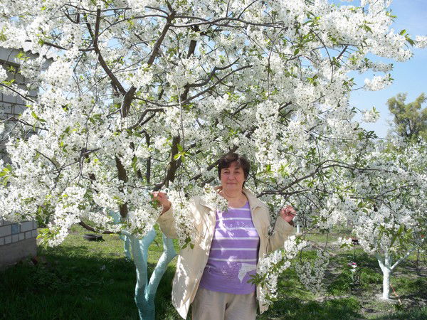 Любовь Прохоренко