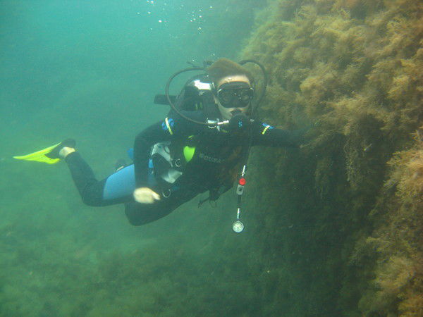 Елена Душенкова