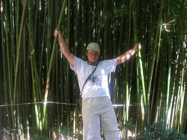 Андрей Березневич