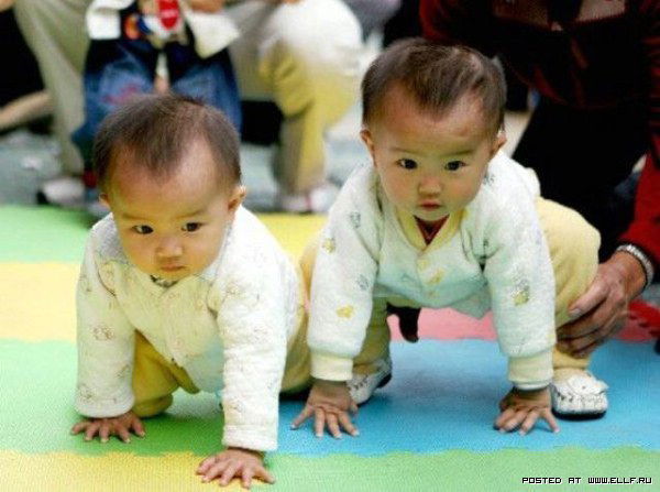 Надира Камилкина