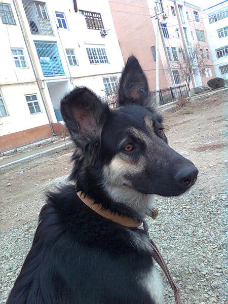 Михаил Арипов