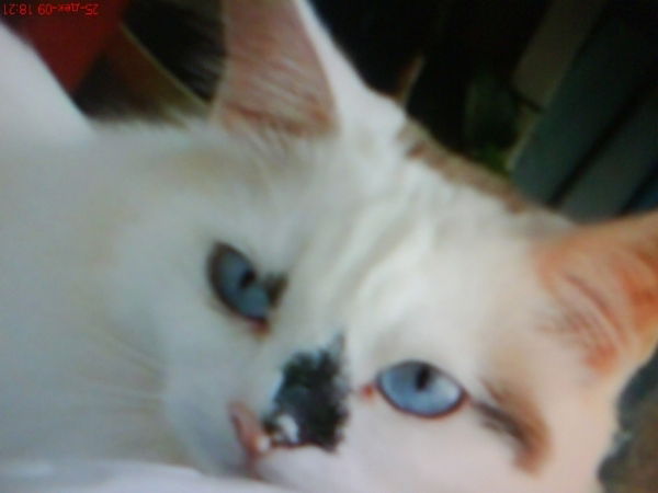 Сергей Егоров