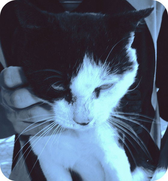 Андрей Зазулин