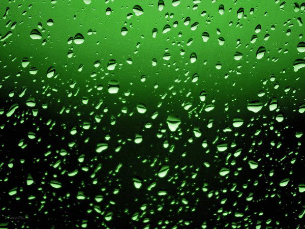 Заур Сыдыков Маратулы