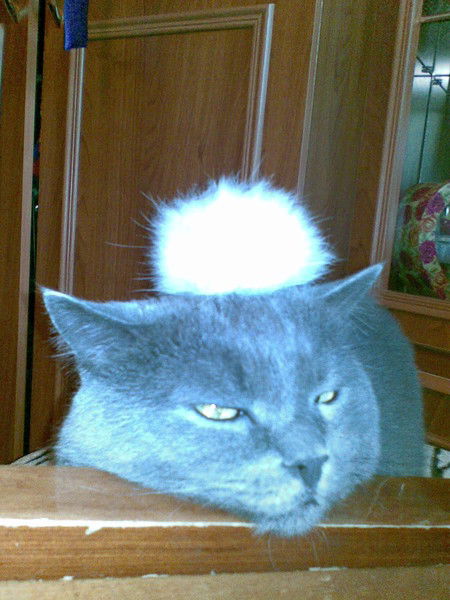 Надежда Конюкова