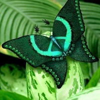 Віка Кабалюк