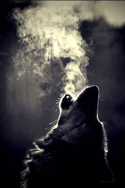 Егор Шестаков