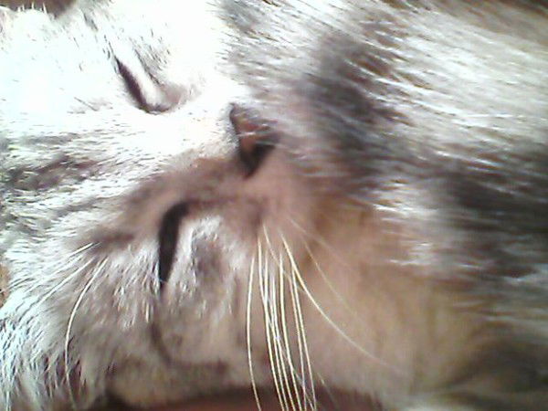 Екатерина Лаптева