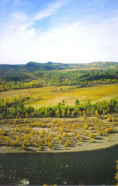 Юля Присада