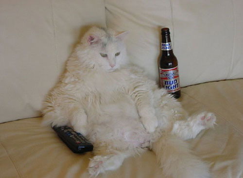 Влад Галамай