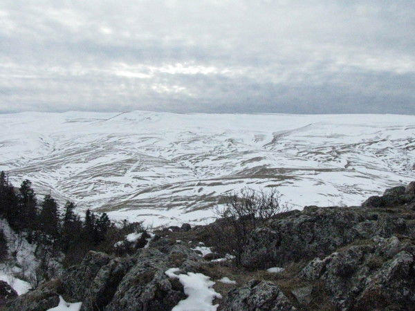 Алексей Горковенко