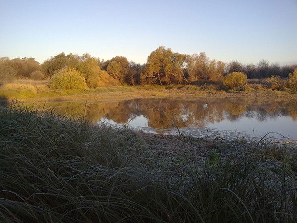 Олег Чернышев