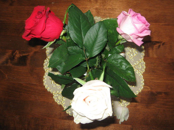 Валентина Туранова