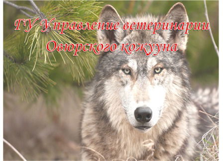 Ораяк Маадыр-Оол