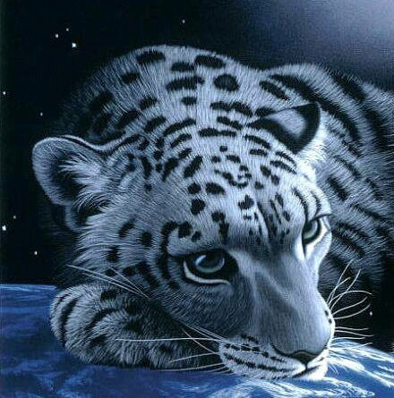 Руслан Асанов