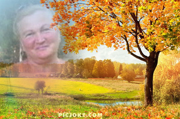 Светлана Алексеева