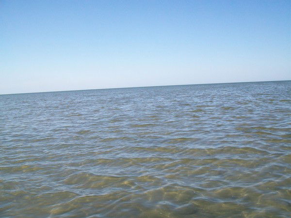 Елена Жумалиева