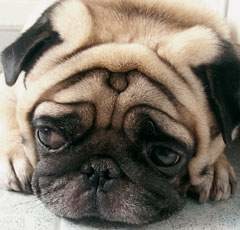 Наталья Ростова