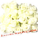 Марина Скурихина