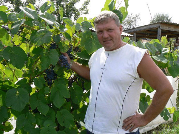 Павел Синцов