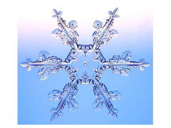 Марина Миславская