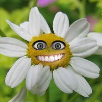 Антон Божедай