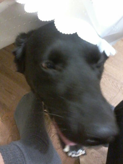 Серый Арышев