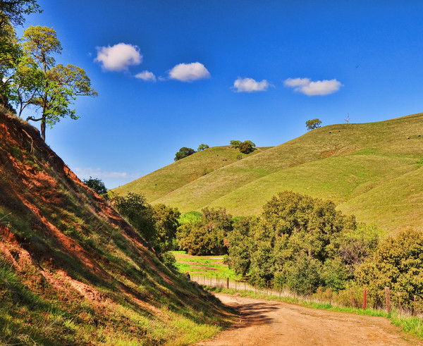 Алексей Юрич