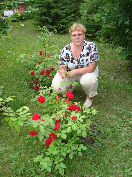 Наталья Задонская