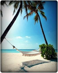 Лев Колчинский