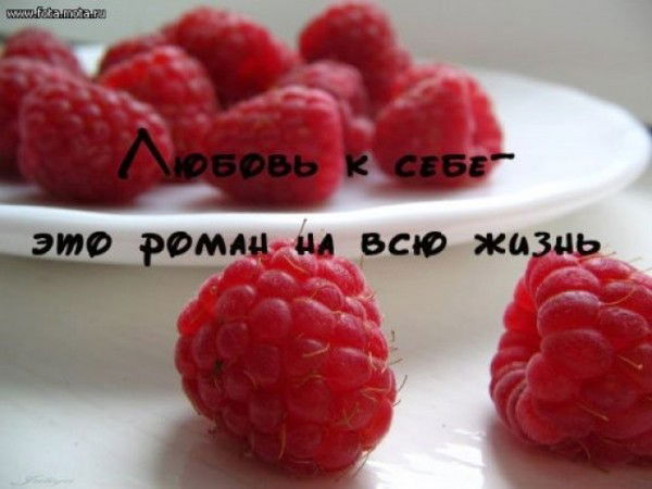 Лариса Борисенко