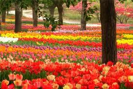 Ринат Окенов