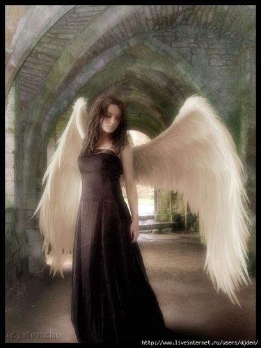 Светлана Лёвкина