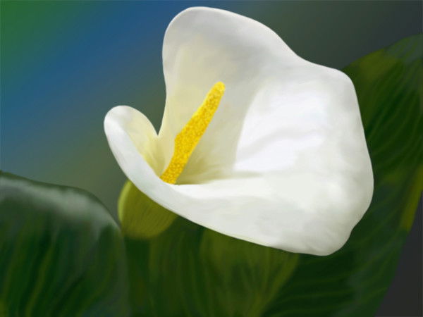 Григорий Кузнецов