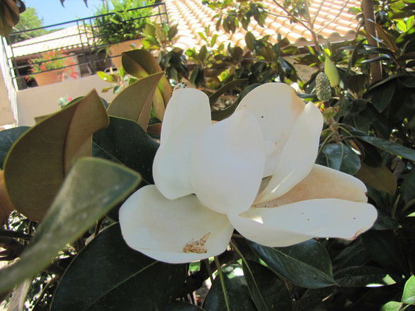 Неизвестно Неизвестно