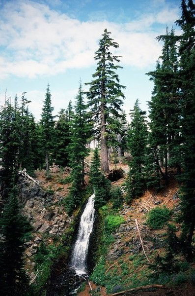 Ангелина Меняйло