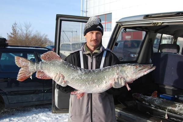 Михаил Токмурзин