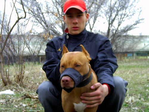 Влад Шевченко