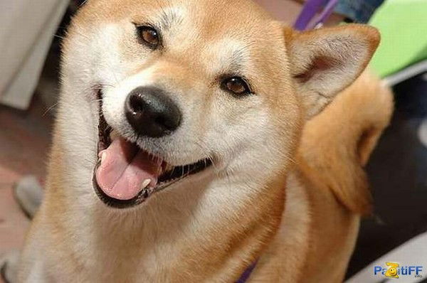 Александр С