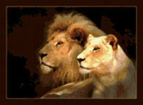 Татьяна Истомина