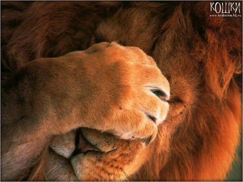 Евгения Мозымова