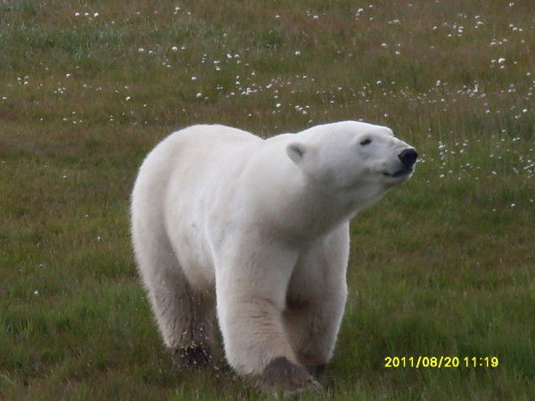 Людмила Никонова