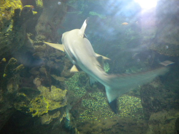 Ольга Идоленко