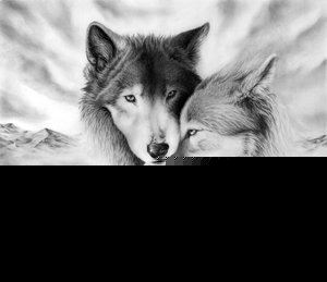 Черный Ангел