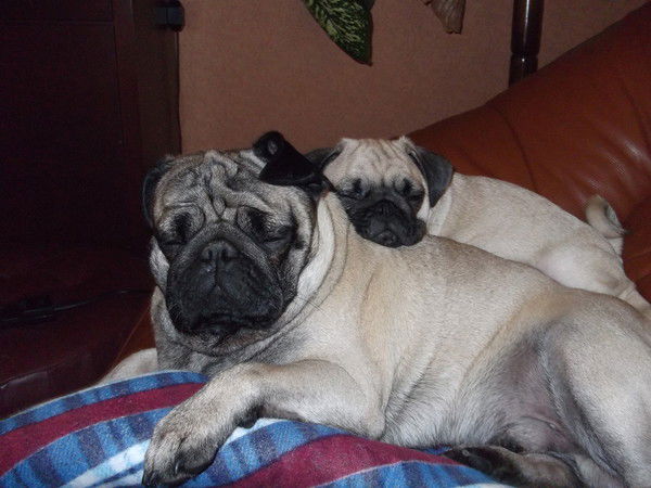 Татьяна Герасимова